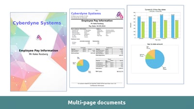 Muti-page formatted documents