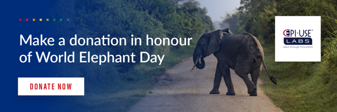 World-Elephant-Day-CTA.png_2A